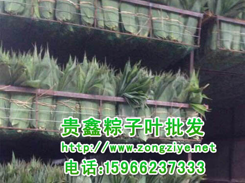 江苏粽叶批发